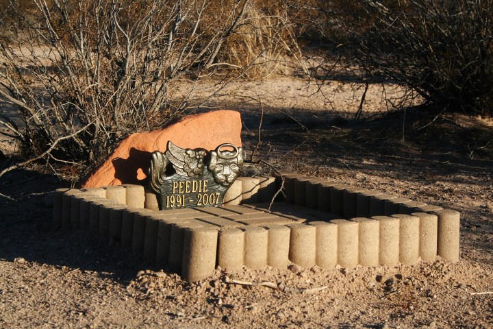 haunted pet cemetery