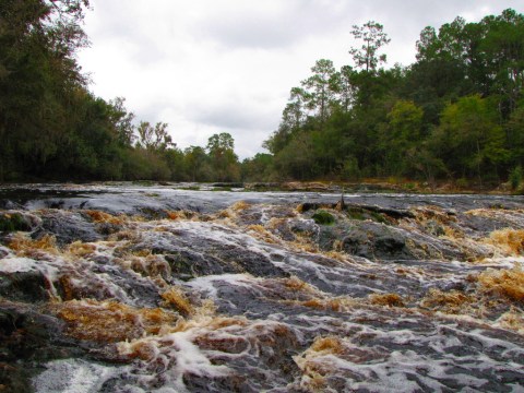 This One Easy Hike In Florida Will Lead You Someplace Unforgettable