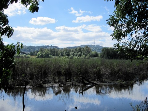 9 Easy Hikes To Add To Your Outdoor Bucket List In Portland