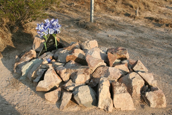 haunted pet cemetery