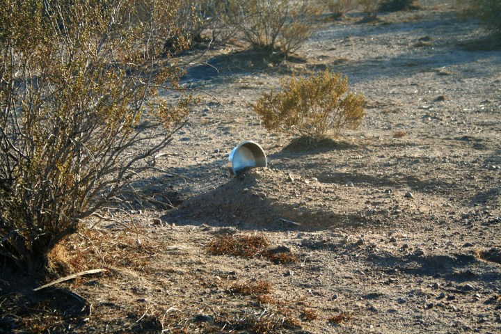 haunted pet cemetery