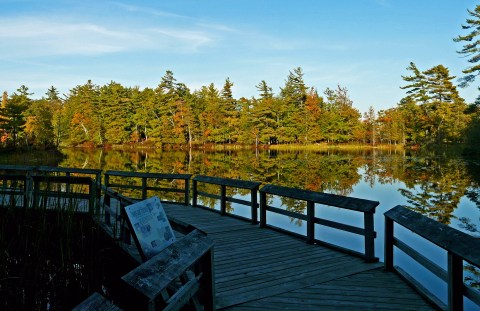 Michigan's Lost Lake Is A True Natural Wonder