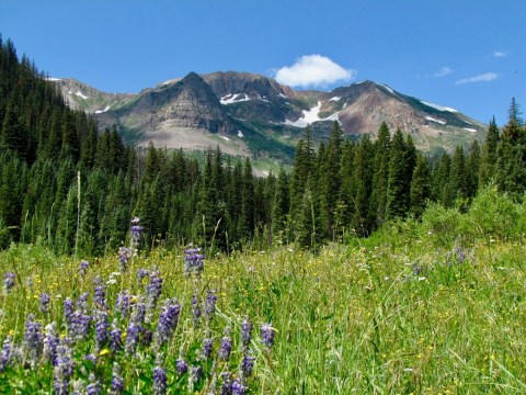 This Magical Waterfall Campground In Colorado Is Unforgettable