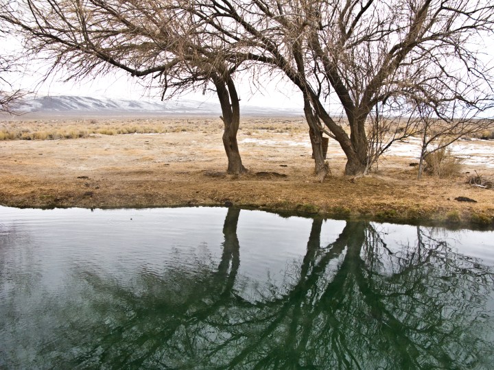 nevada swimming spots