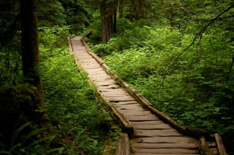 This Just Might Be The Most Beautiful Hike In All Of Washington