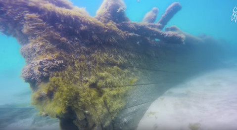 There Are Hundreds Of Sunken Ships In Lake Michigan And They're Positively Mesmerizing