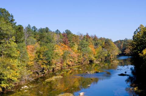 This Alabama River Is So Much More Than Just A Body Of Water