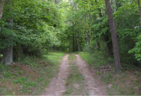 Most People Don’t Know Virginia Has A Fairy Trail… And It’s Positively Magical