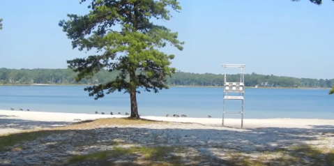 9 Swimming Spots With The Clearest, Most Pristine Water On Cape Cod