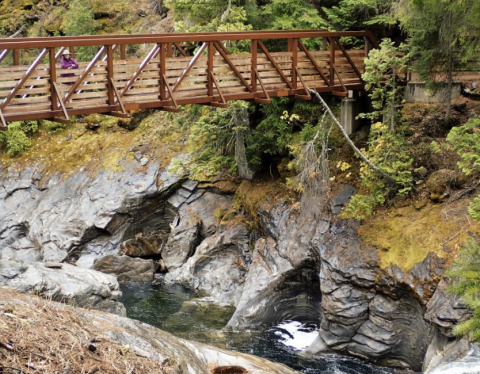 9 Easy Hikes To Add To Your Outdoor Bucket List In Washington