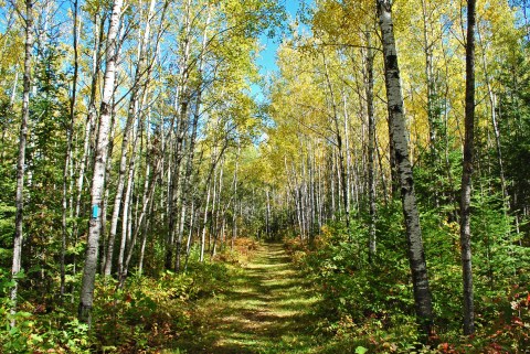 Part of the North Country Trail Runs Through Wisconsin...And It is Beautiful