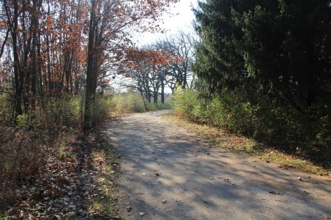 This Serene Illinois Trail System Is The Ultimate Urban Escape