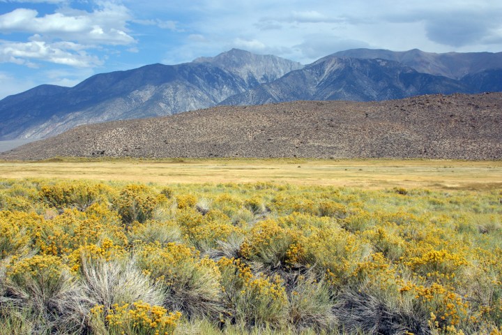 nevada natural wonders road trip