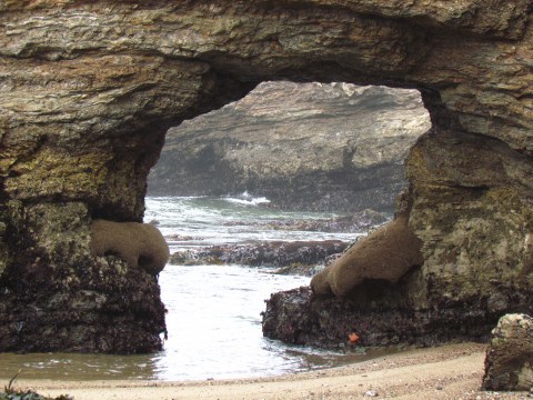 This Hidden Beach In Northern California Will Take You A Million Miles Away From It All