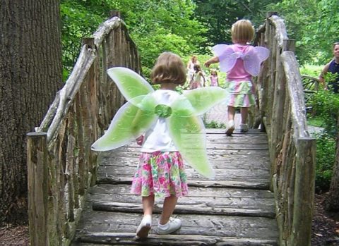 Most People Don’t Know Delaware Has A Fairy Trail… And It’s Positively Magical