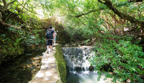 The Little Known Natural Oasis In Hawaii That'll Be Your New Favorite Destination