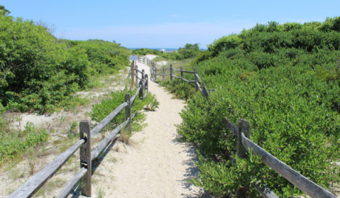 This Hidden Beach In New Jersey Will Take You A Million Miles Away From It All