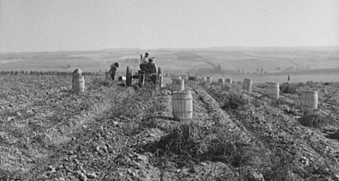 Most People Have Never Seen These 10 Photos Taken During WWII In Maine