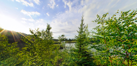 Visit Minnesota's Largest State Forest For A True Wilderness Experience