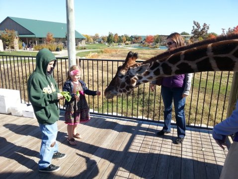 Most People Have No Idea This Unique Park In Kansas Exists