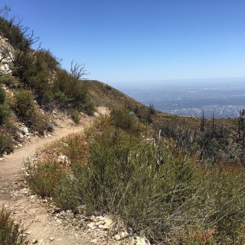 The Hike To This Telescope Lookout In Southern California Is Positively Delightful