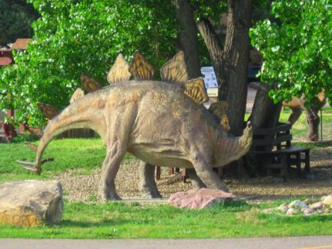 Most People Have No Idea This Unique Park In Colorado Exists