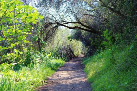 This Stunning Canyon Hike In Southern California Is What Dreams Are Made Of