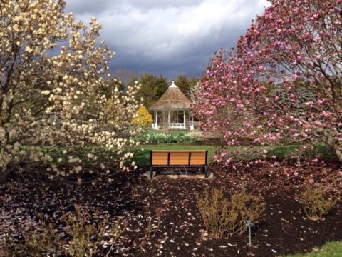 This Little Known Park In New Jersey Is The Perfect Place To Get Away From It All