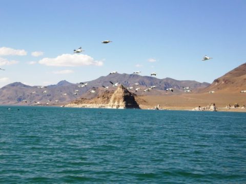 This Underrated Lake In Nevada Is A True Hidden Gem … And Will Take Your Breath Away