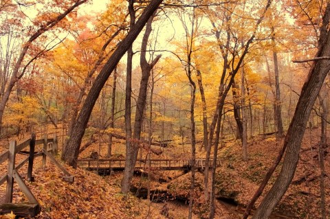 16 Marvelous Trails You Have To Hike In Iowa Before You Die