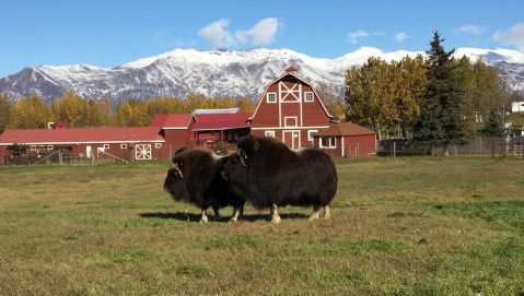 This Hidden Destination In Alaska Is A Secret Only Locals Know About