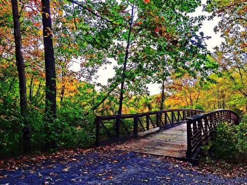 14 Easy Hikes To Add To Your Outdoor Bucket List In Delaware