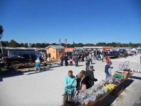 Everyone In Florida Should Visit This Epic Flea Market At Least Once