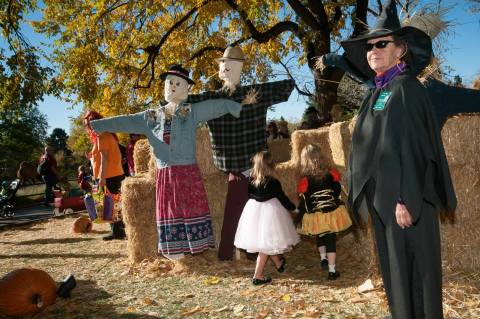 11 Unique Fall Festivals In Denver You Won't Find Anywhere Else