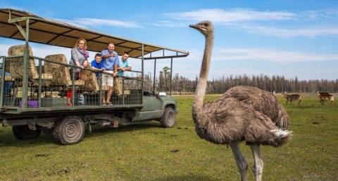 A Trip To This Unique Park In Florida Is Simply Unforgettable