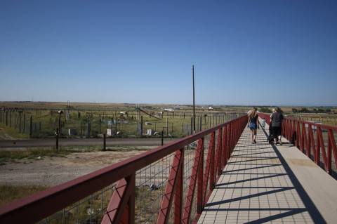 A Hidden Destination Near Denver, The Wild Animal Sanctuary Is A Secret Only Locals Know About