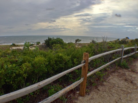 This Just Might Be The Most Beautiful Hike In All Of Delaware