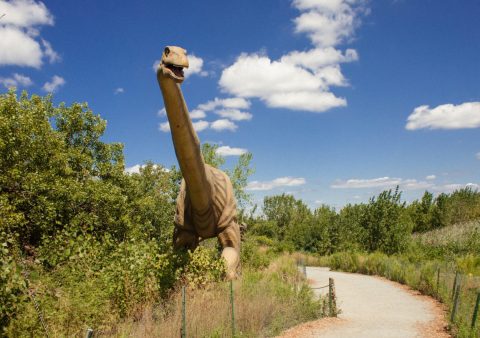 Most People Have No Idea This Unique Park In New Jersey Exists