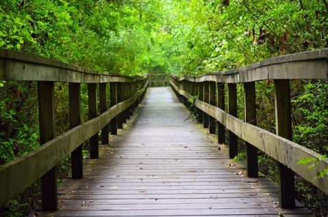 10 Easy Hikes To Add To Your Outdoor Bucket List In Mississippi