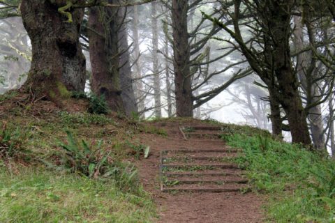 This Easy, Enchanting Hike In Oregon Will Lead You To A Hidden Beach