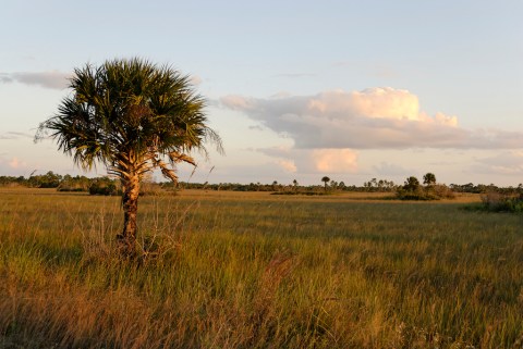 This Just Might Be The Most Beautiful Hike In All Of Florida