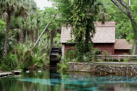 This Easy Hike Will Lead You To One Of The Most Enchanting Spots In Florida