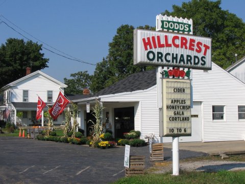 These 11 Charming Apple Orchards In Ohio Are Great For A Fall Day