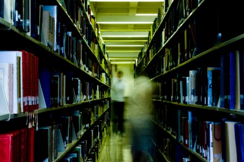 The Maine State Library Was Home To A Very Strange Guest