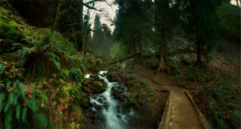 This Just Might Be The Most Beautiful Hike In All Of Oregon