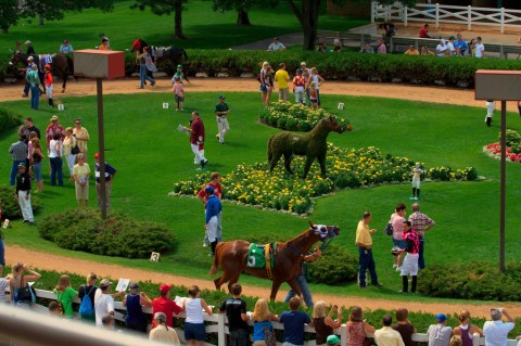 This Unique Attraction In Minnesota Will Keep You Entertained All Day