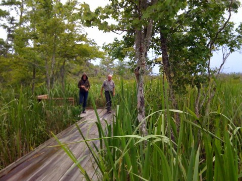 This Just Might Be The Most Beautiful Hike In All Of New Orleans