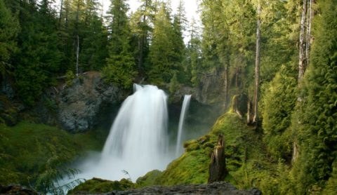 This One Easy Hike In Oregon Will Lead You To Two Hidden Waterfalls