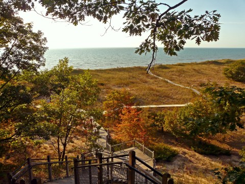 8 Hiking Trails In Michigan That Are Especially Beautiful In The Fall