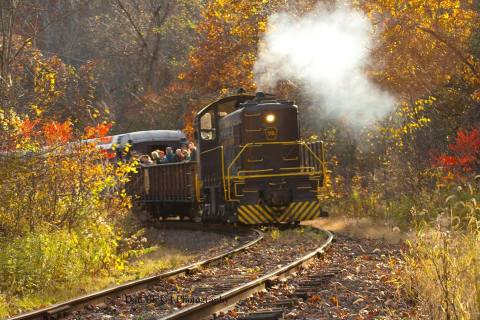 Take This Fall Foliage Train Ride Near Pittsburgh For A One-Of-A-Kind Experience